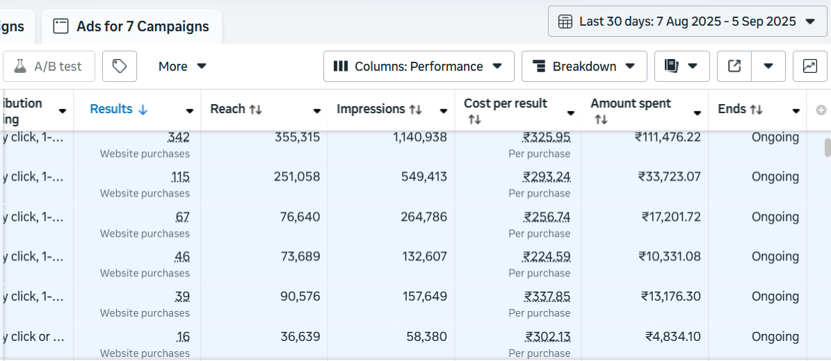 Google Ads campaign performance dashboard — active consulting account